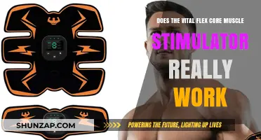 Does the Vital Flex Core Muscle Stimulator Deliver Real Results?