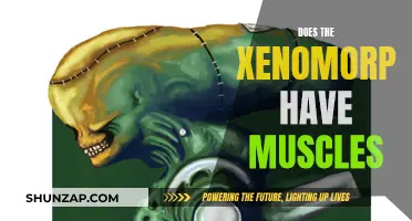 The Xenomorph's Muscular System: Fact or Fiction?