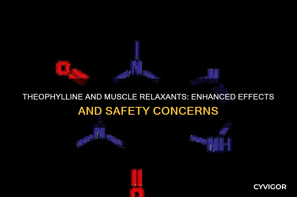 does theophylline increase the effect of muscle relaxants
