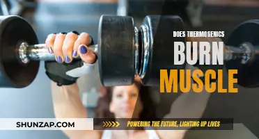 Thermogenics: Burning Fat, but What About Our Muscles?