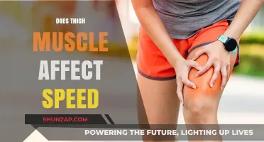 Unleashing Speed: The Surprising Role of Thigh Muscles in Sprinting Performance