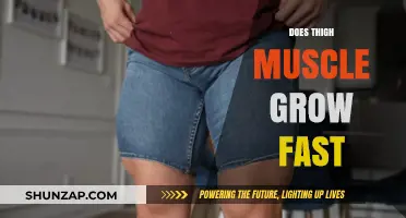 How Quickly Can Thigh Muscles Grow? Training Tips Revealed