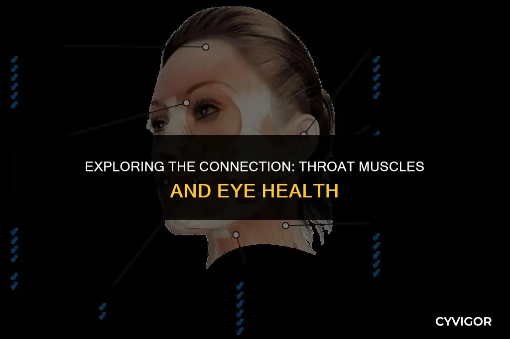 does throat muscles affect the eyes