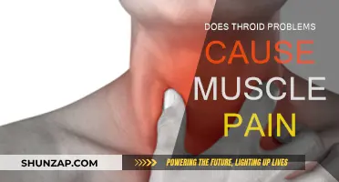 Thyroid Problems: Can They Cause Muscle Pain?