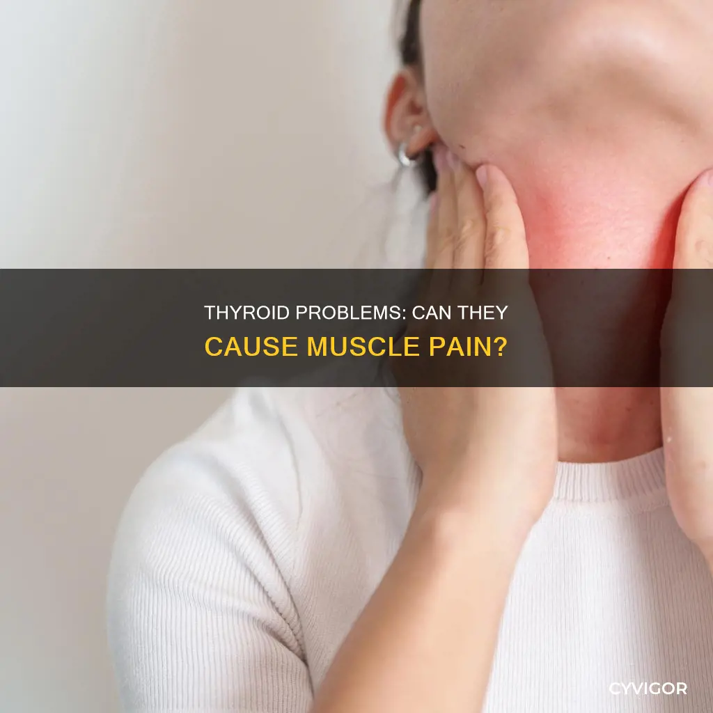 does throid problems cause muscle pain
