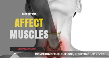 Exploring the Connection: How Thyroid Health Impacts Muscle Function