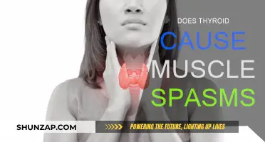 Thyroid Disorders and Muscle Spasms: Is There a Link?