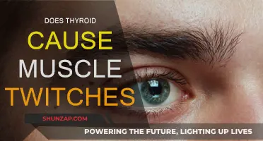 Thyroid Dysfunction and Muscle Twitching: What's the Link?