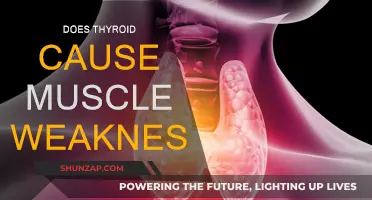 Thyroid Disorders: Muscle Weakness and Fatigue