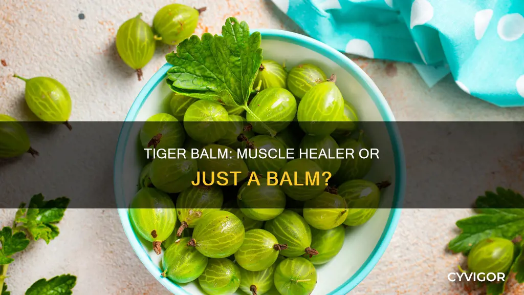 does tiger balm heal muscles
