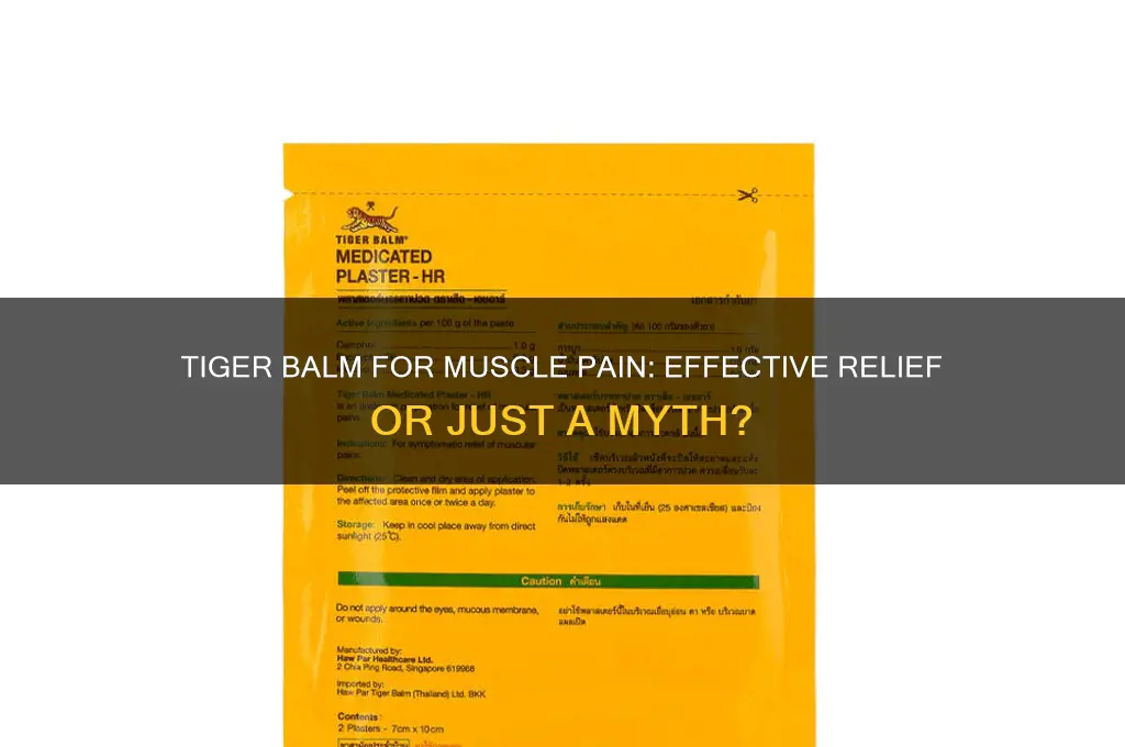 does tiger balm work for muscle pain