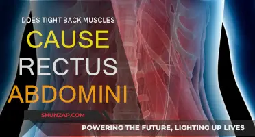 Tight Back Muscles: A Cause of Rectus Abdominis Pain?