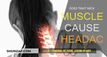 Tight Neck Muscles: A Surprising Cause of Headaches