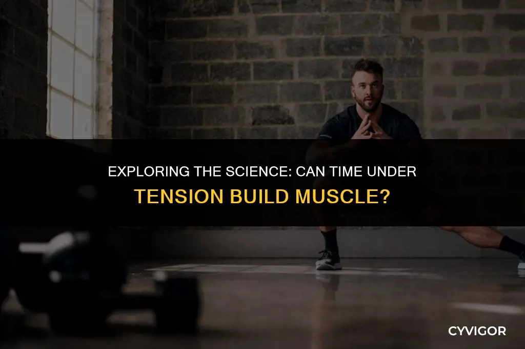does time under tension build muscle