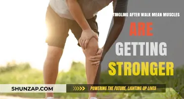 Post-Walk Tingling: A Sign of Muscle Strengthening or Something Else?