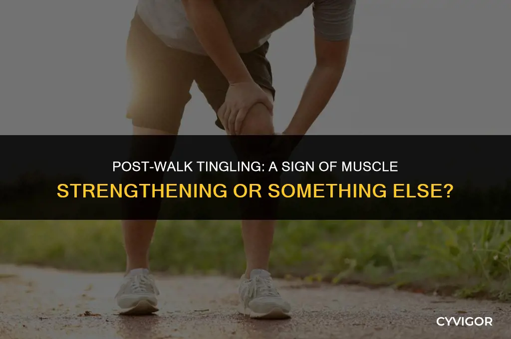 does tingling after walk mean muscles are getting stronger