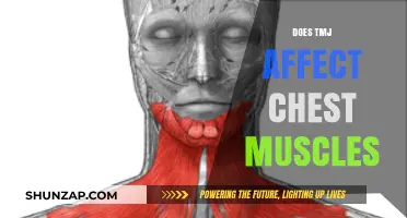 Exploring the Connection: TMJ and Its Impact on Chest Muscles