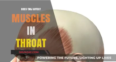 Exploring TMJ: Its Impact on Throat Muscles and Overall Health