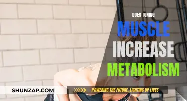 Toning Muscle: Can It Boost Your Metabolism?