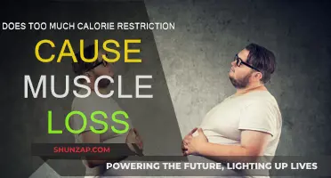 Calorie Restriction: Muscle Loss Risk?