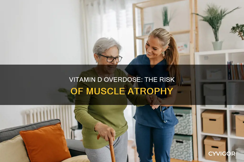 does too much vitamin d supplementation cause muscle atrophy
