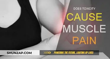 Toxicity and Muscle Pain: Is There a Link?