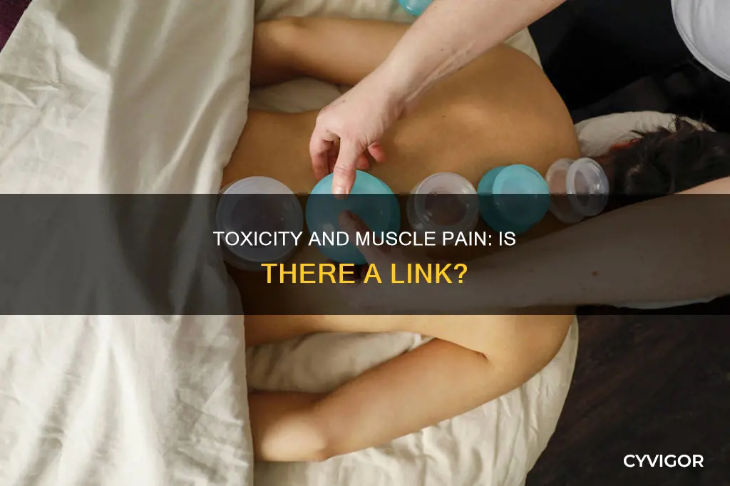 does toxicity cause muscle pain
