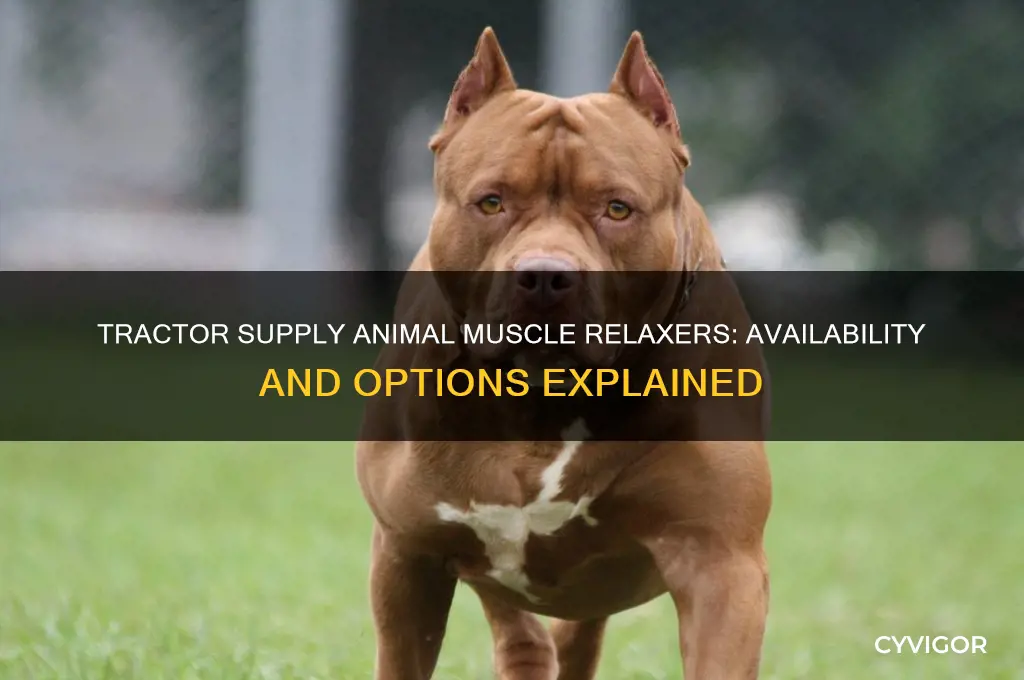 does tractor supply sell muscle relaxer for animals