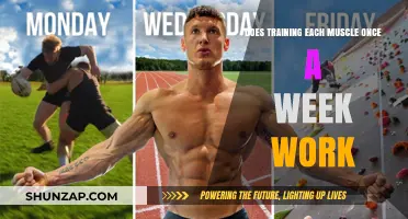 Does Weekly Muscle Training Deliver Results? A Comprehensive Analysis