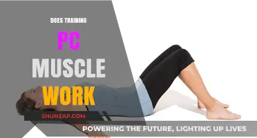 Does PC Muscle Training Really Work? Benefits and Myths Explained