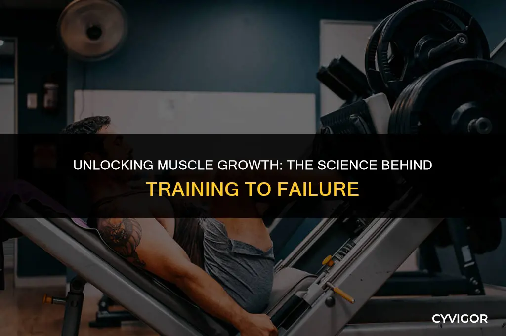 does training to failure build muscle