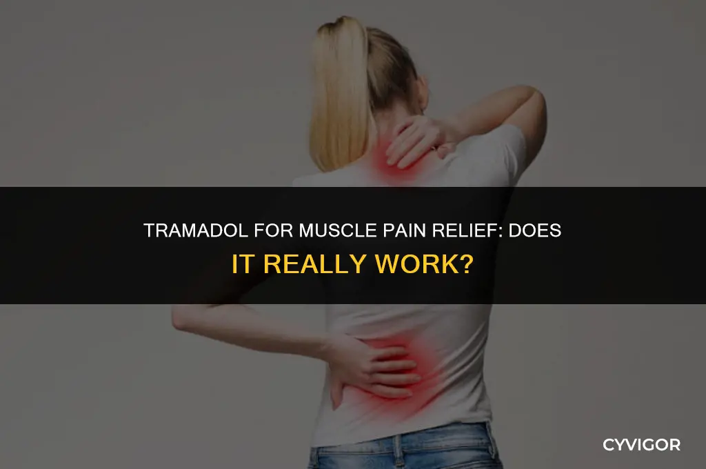 does tramadol get rid of muscle pain