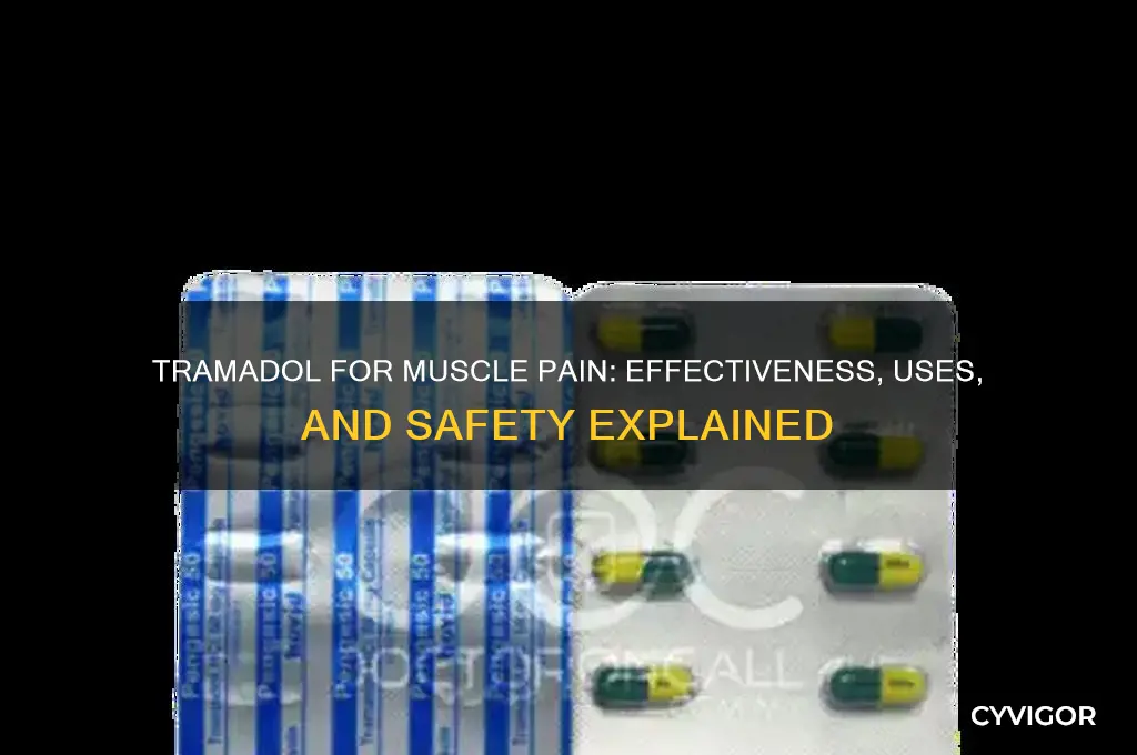 does tramadol relieve muscle pain