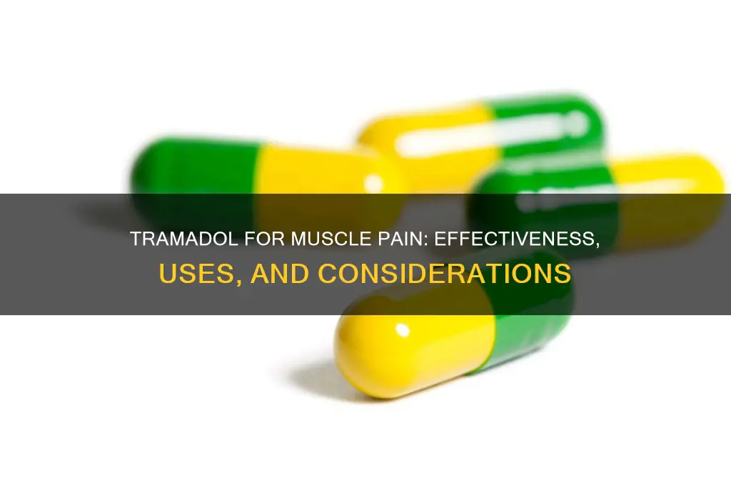 does tramadol work for muscle pain