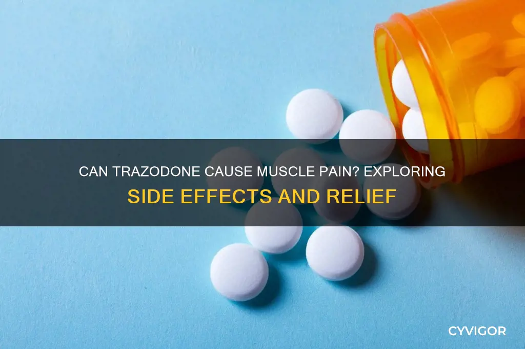 does trazedone give you muscle pain