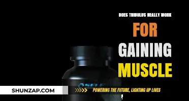 Does Tribulus Terrestris Actually Boost Muscle Gain? A Deep Dive