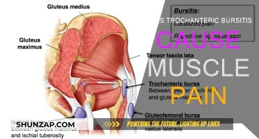 Trochanteric Bursitis: Understanding the Link to Muscle Pain