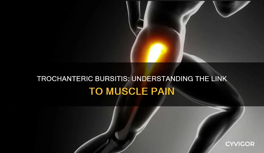 does trochanteric bursitis cause muscle pain