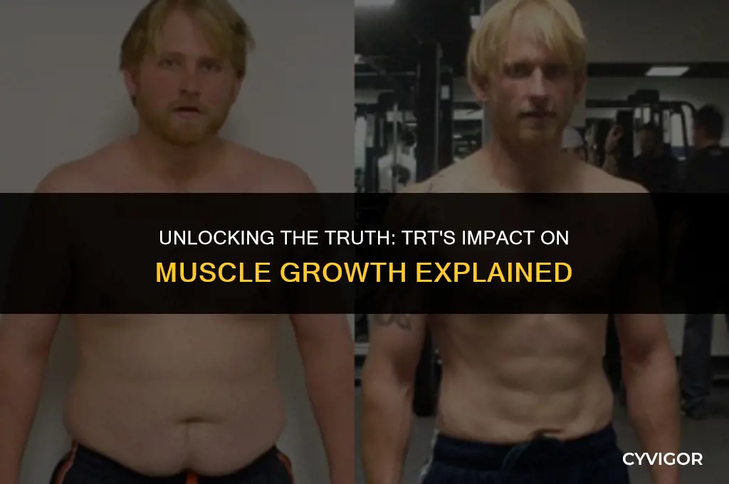 does trt build muscle