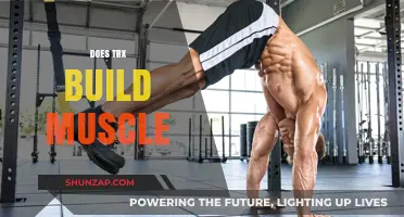 TRX Training: Effective Muscle Building or Just Hype?
