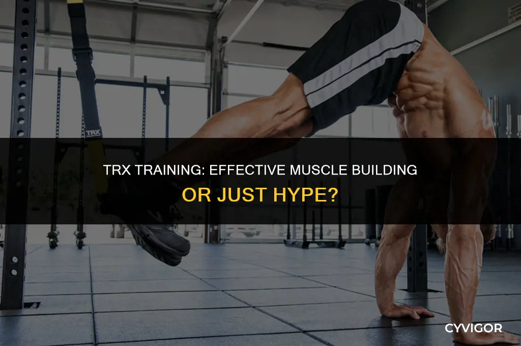 does trx build muscle