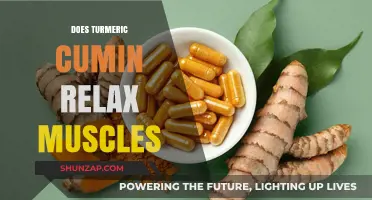 Turmeric and Cumin: Natural Muscle Relaxants or Just a Myth?