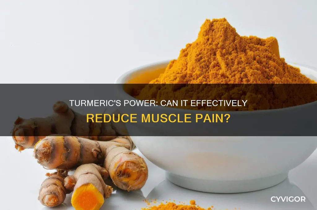 does turmeric reduce muscle pain