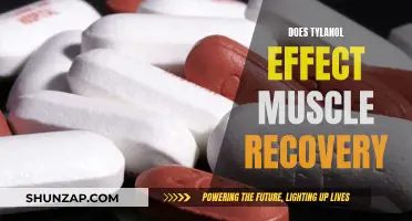 How Tylenol Impacts Muscle Recovery and Performance