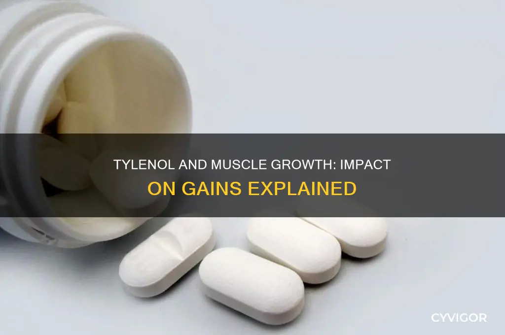does tylenol affect muscle gains