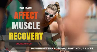 Exploring Tylenol's Impact on Muscle Recovery: What You Need to Know