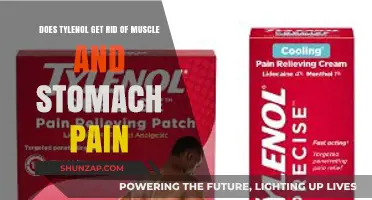 Relief in a Pill: Tylenol's Efficacy Against Muscle and Stomach Pain
