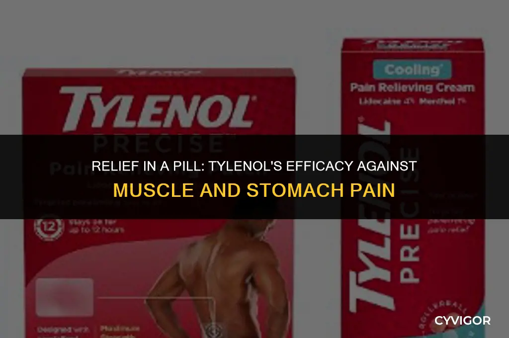 does tylenol get rid of muscle and stomach pain