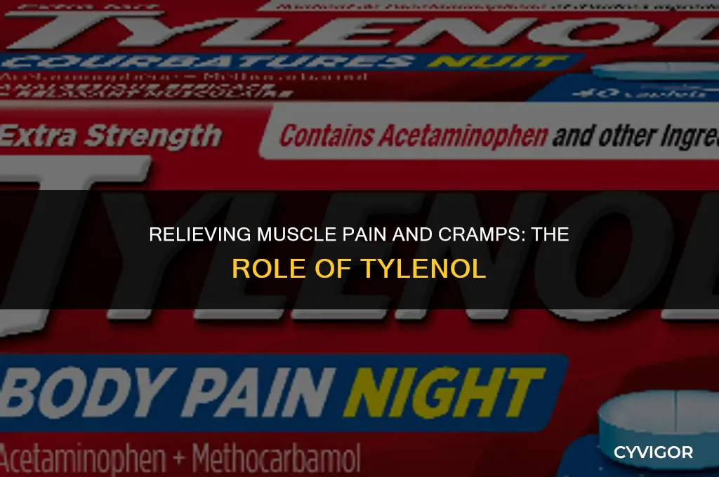 does tylenol get rid of muscle pain and cramps