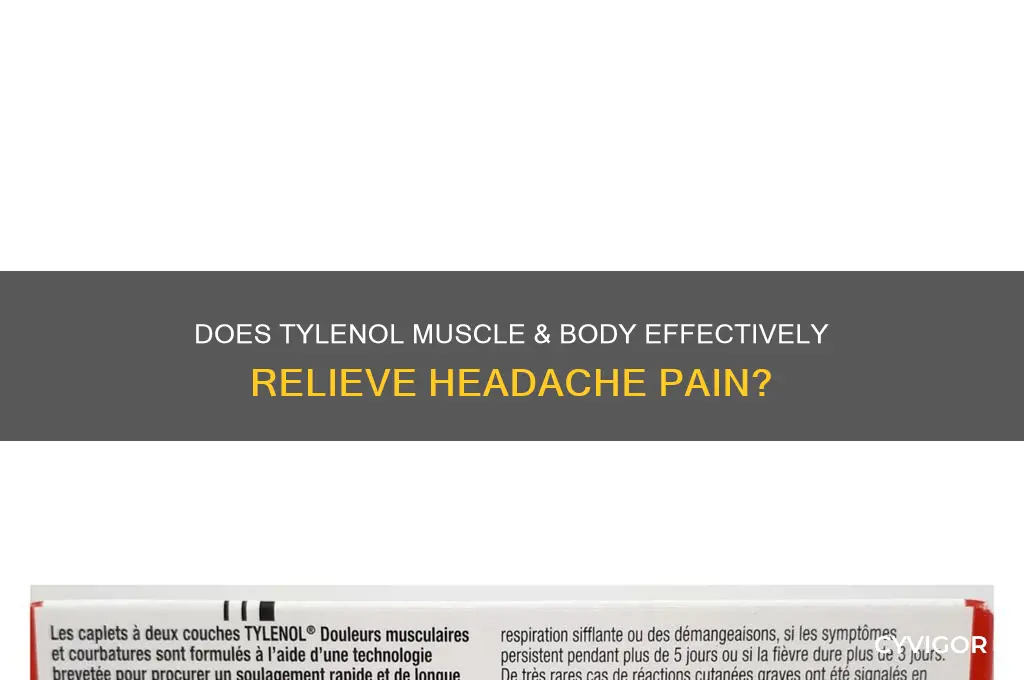 does tylenol muscle and body work for headaches